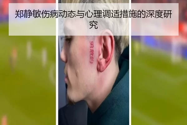 郑静敏伤病动态与心理调适措施的深度研究